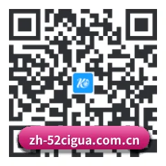安卓极速冲浪端 二维码